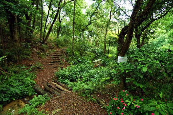 Butterfly Garden（蝴蝶園）Image