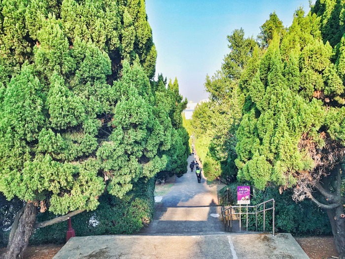 Dr. Mei Memorial Garden（梅園）Image