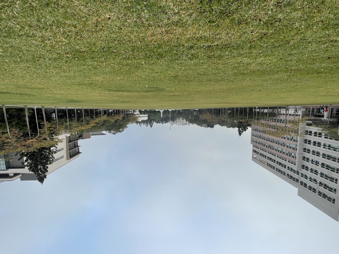 Campus Green（大草坪）Image