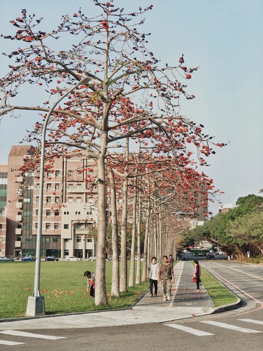 Campus Green（大草坪）Image