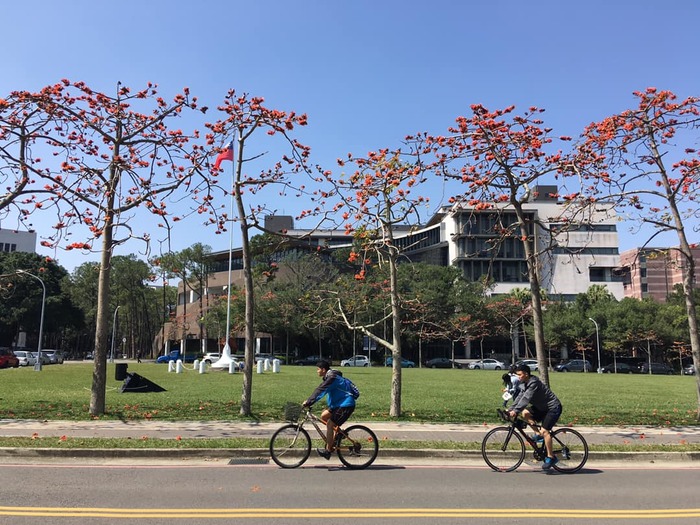 Campus Green（大草坪）Image