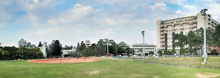 Picture description