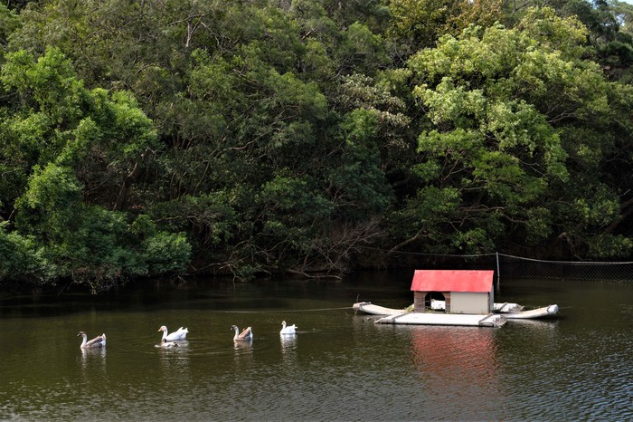 Hsiangsi Lake（相思湖）Image