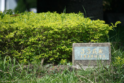 Class of 33 Flower Bed（33花圃）Image